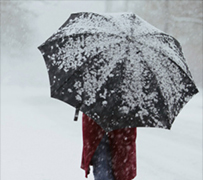 winter