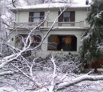 winter